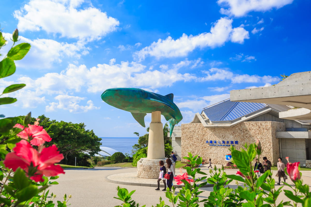美麗海水族館